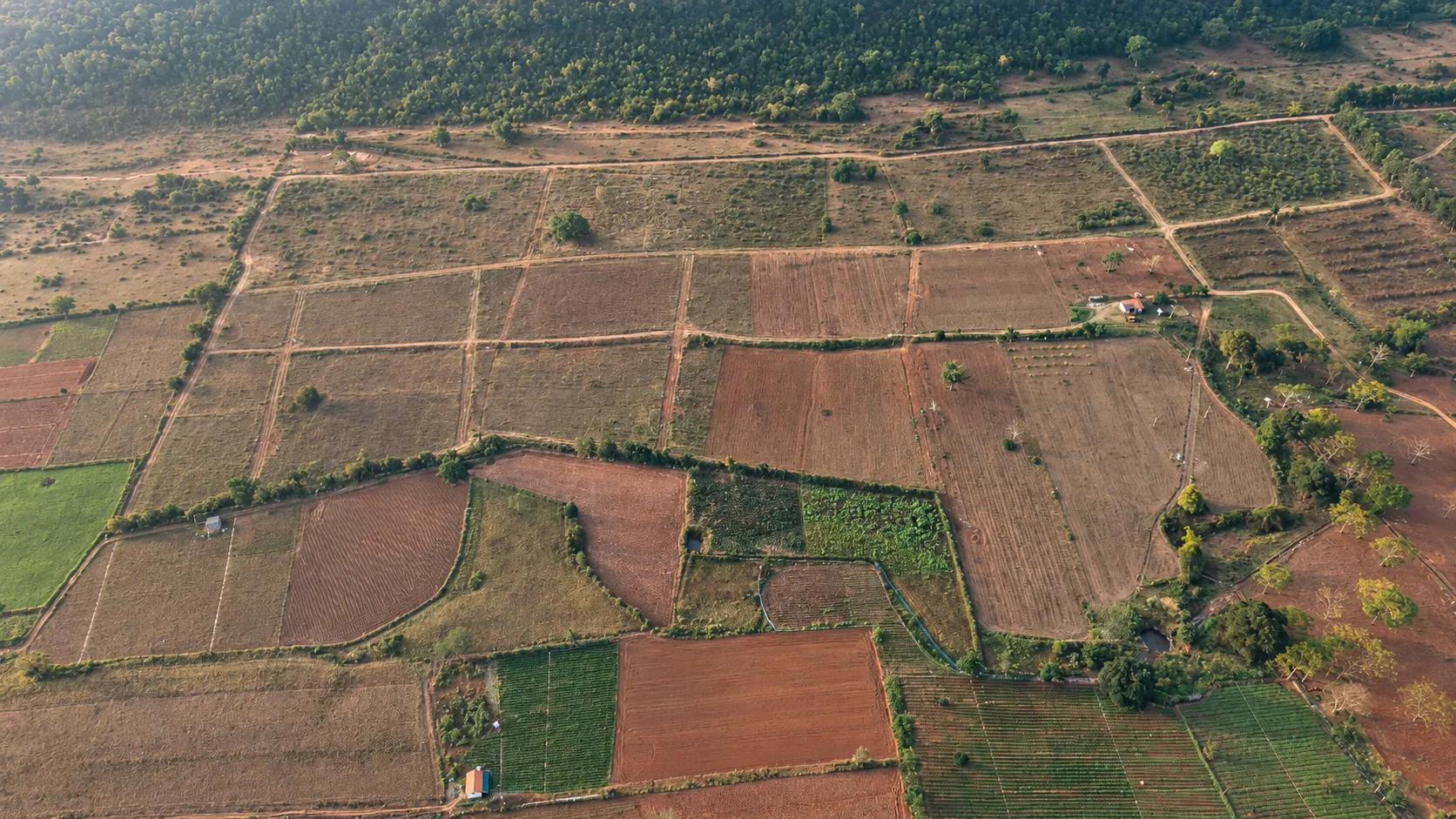 Aerial view of fields running to distant hills in soft light