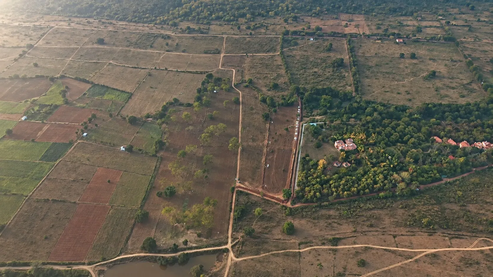 Morning mist over the plots at Wild Living, seen from above