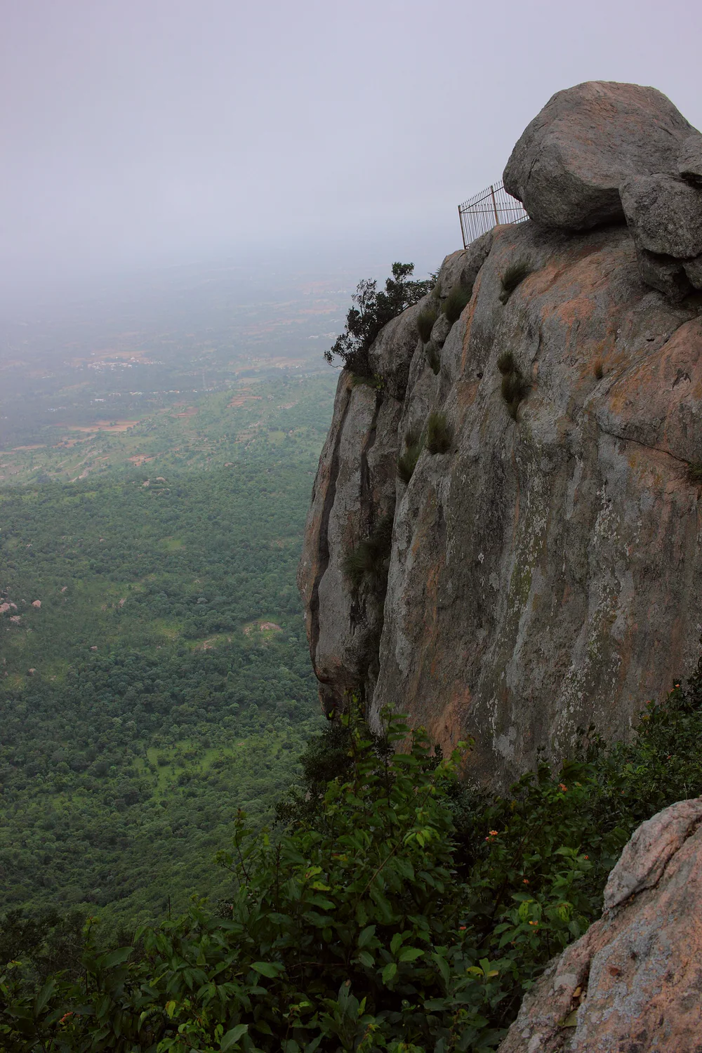 Bilikal Rangaswamy Betta rising out of the forest
