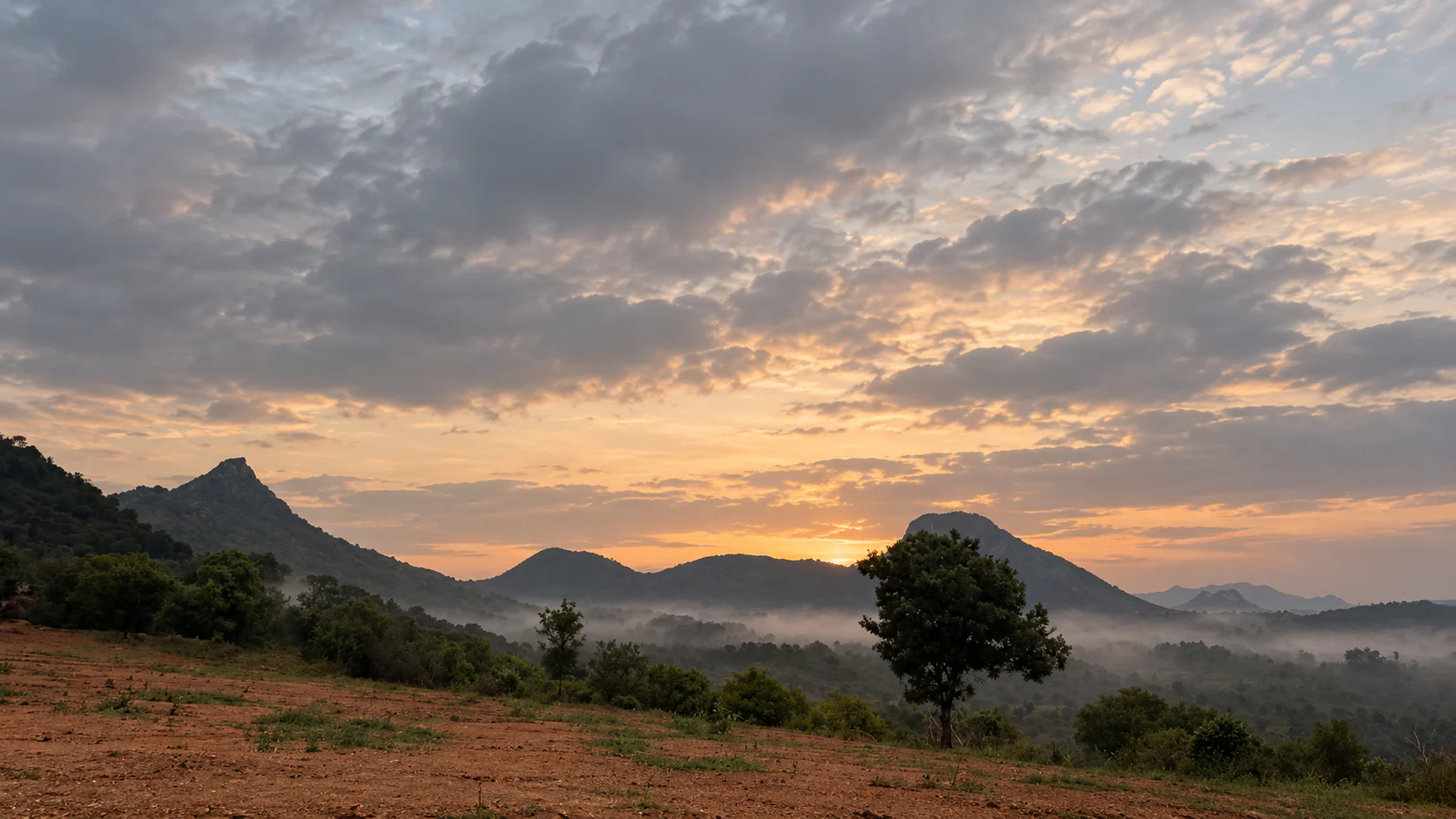 The site at sunrise: red earth, a lone tree, and mist in the valley below the pointed hills