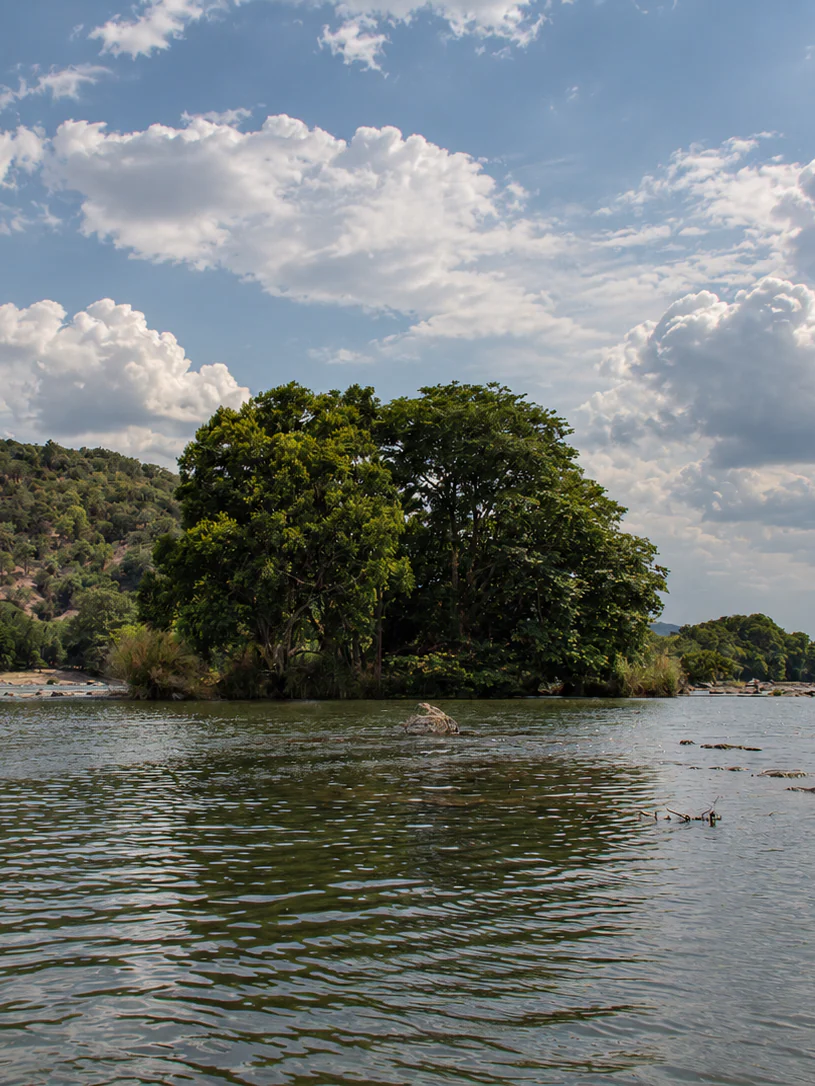 Sangama, where the Arkavathi meets the Kaveri: a wooded island in the river, the hill behind