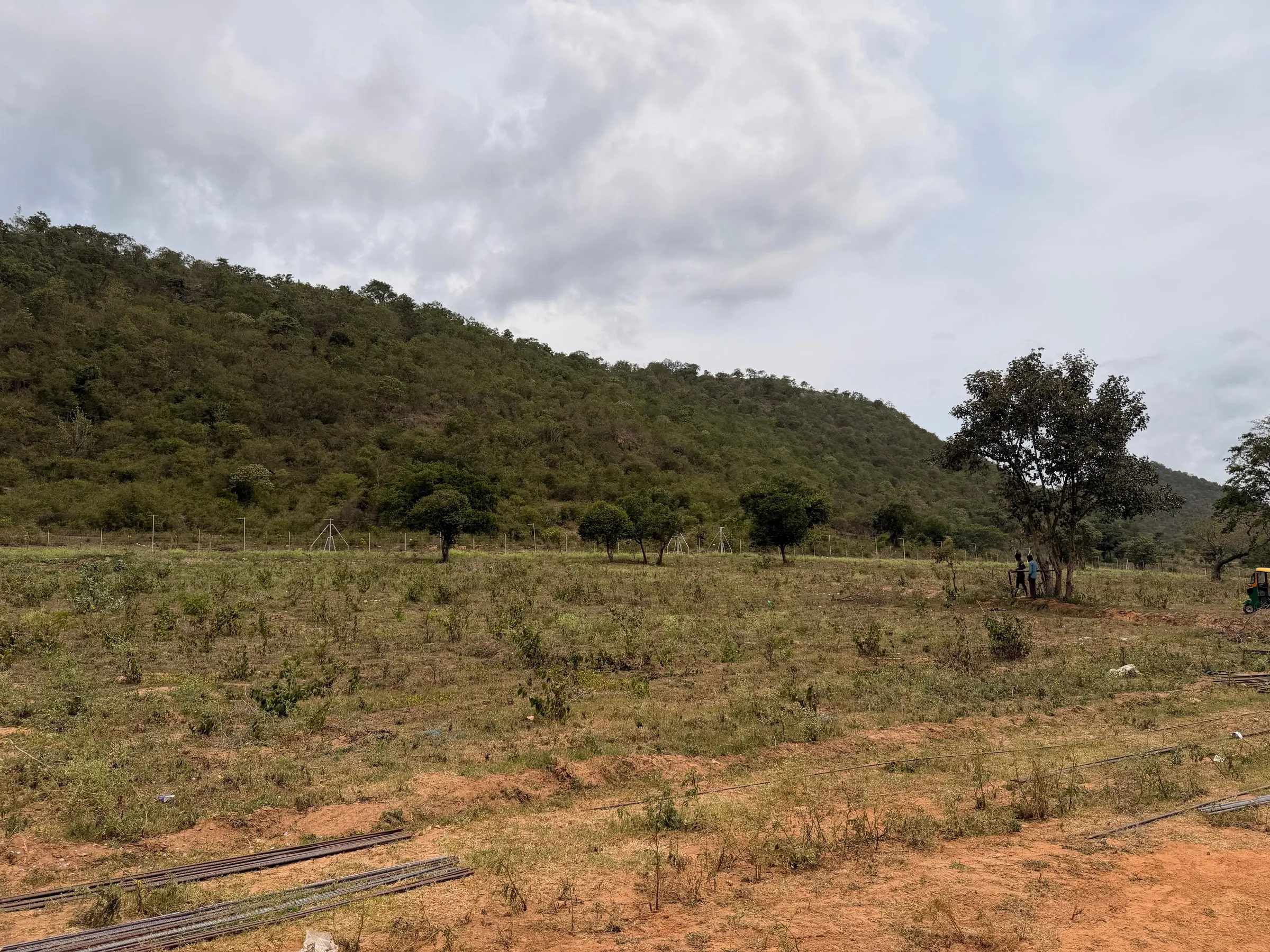 A forested hillside rising above the estate's open ground